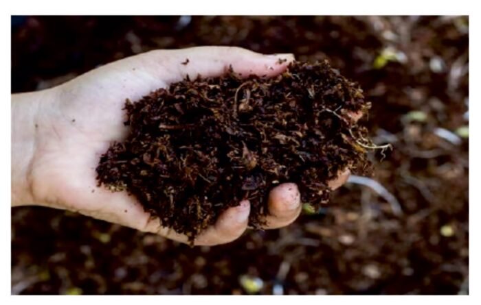 Organic composting from waste